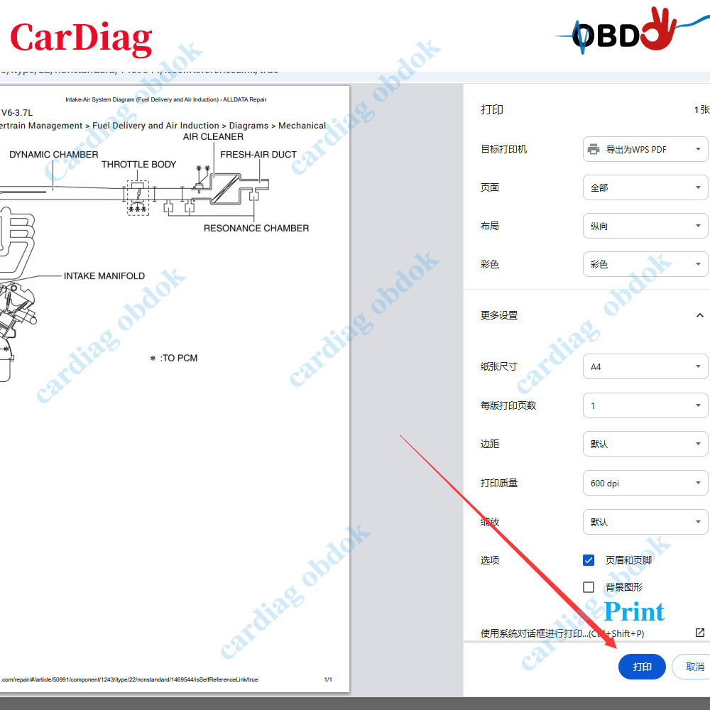 Oprogramowanie Alldata US Onli – Workshop Tools Online recenzja i cena